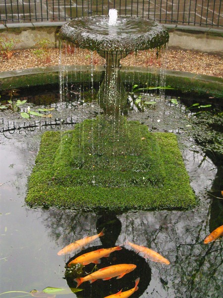 Reflection in the fountain
