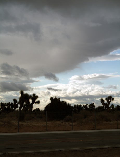 Definition of a Desert