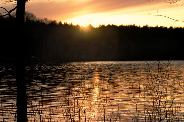 early spring sunset