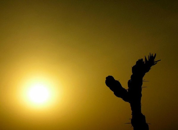 Face the heat !!