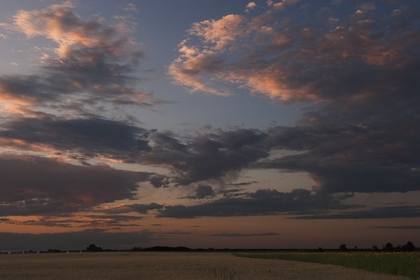 Painted Sunset