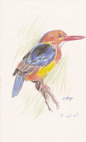 bird