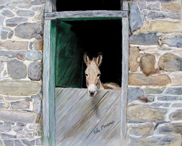 Mr. Ed (Pastel)