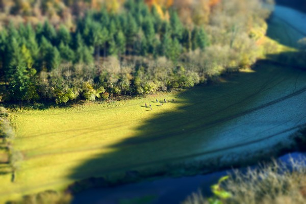 Miniature shot from Symonds Yat