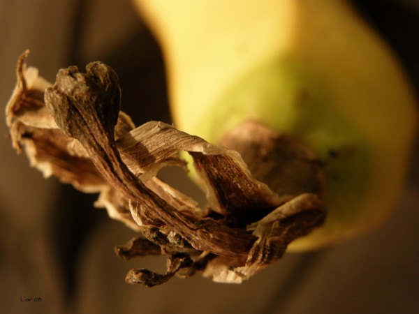 Just a banana