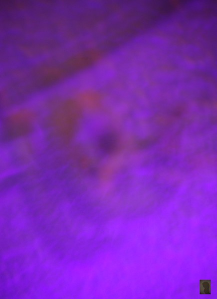 wall 2
