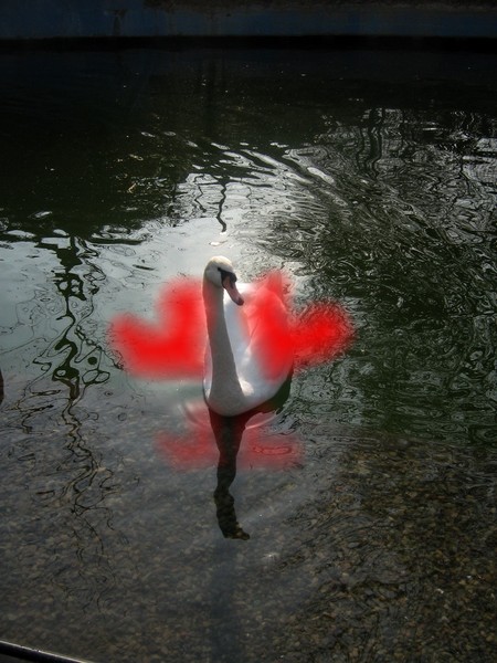 Happy Valentine Day