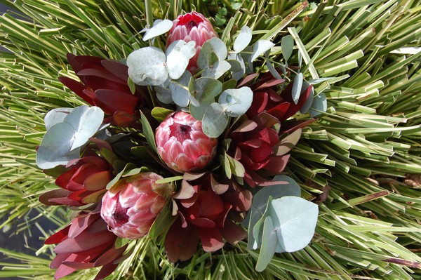 unusual bouquet