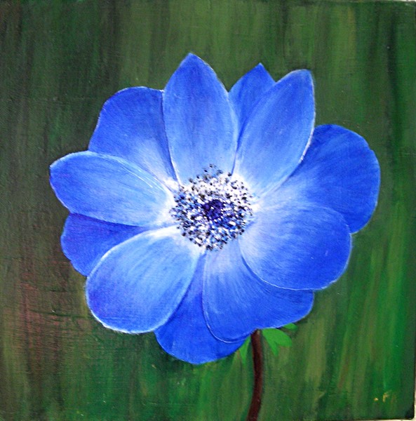 PETITE FLEUR BLEUE