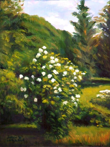 Ballrose