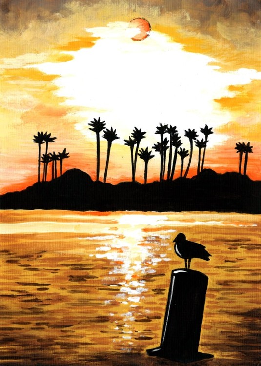 Solstice Seagull