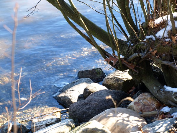 DOWN BY THE RIVER