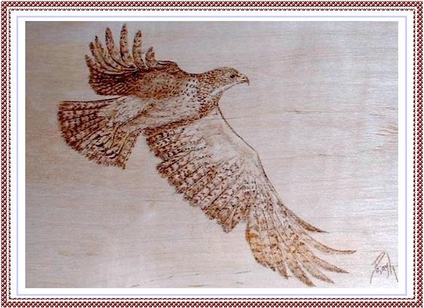 Bird of Prey