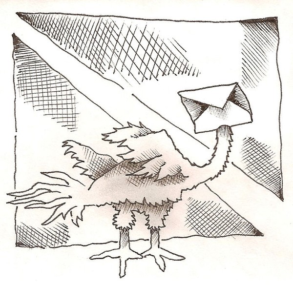 Air Mail Bird