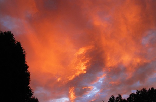Fire in the Sky - 7340