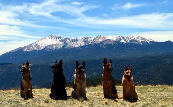 On top of the world