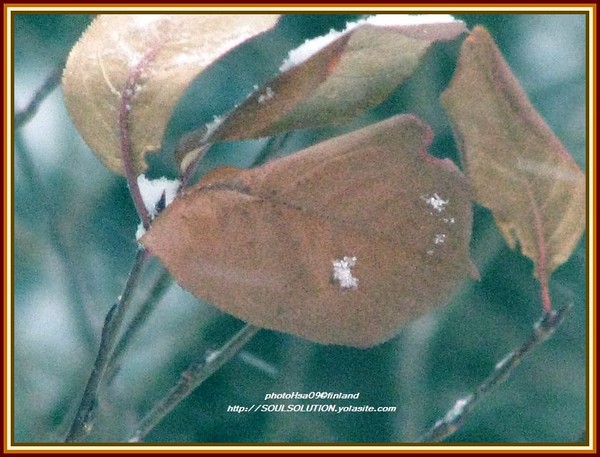first snow-ensi lumi