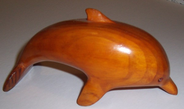 Baby Dolphin