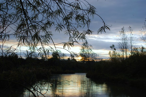 Morning Lake