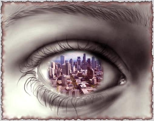Eye on Seattle