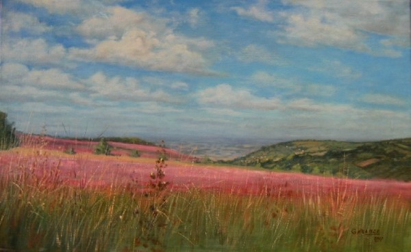 Yorkshire Moors -England