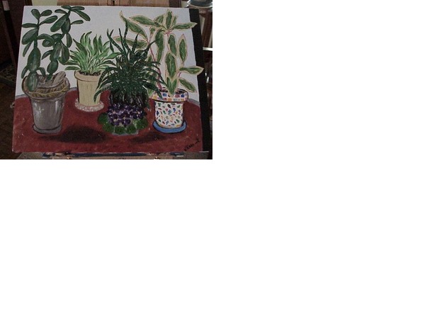 Plants in a bay window