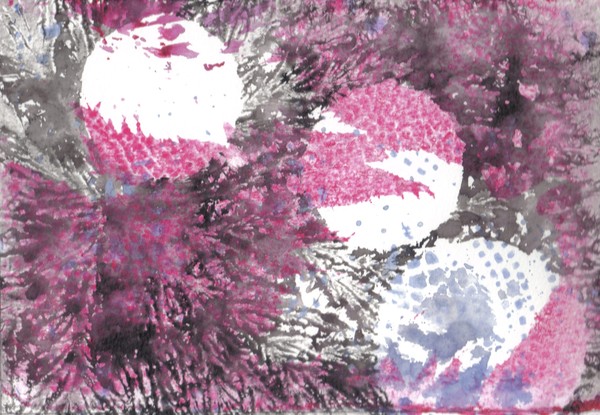 monotype