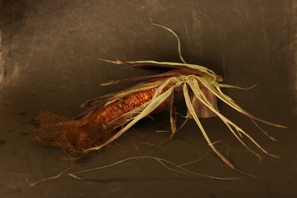 Indian corn