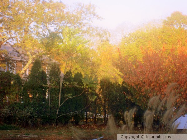 Autumn Palette