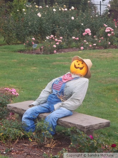Hershey Gardens Fall Accents