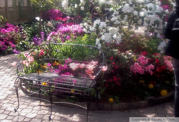 Garden Delight