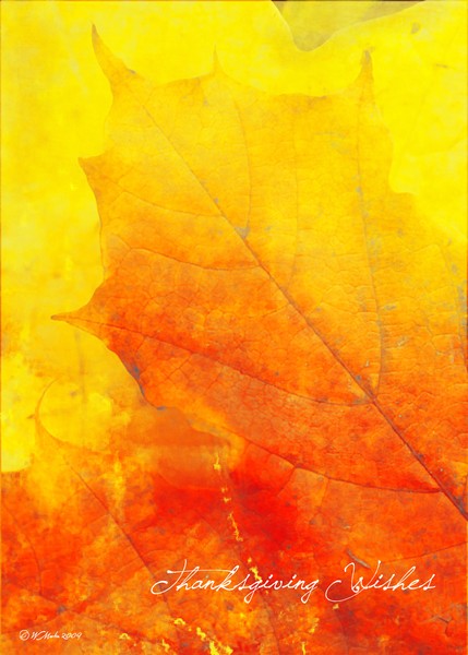 Glowing Leaf-Thanksgiving card