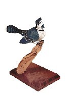 Blue Jay