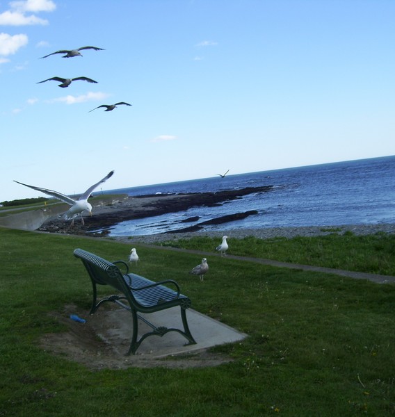 Coming in for a Landing!