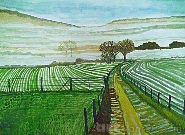 Cheshire landscap