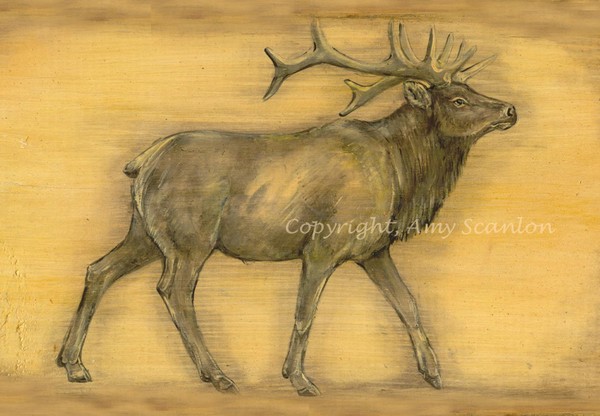 Proud Elk