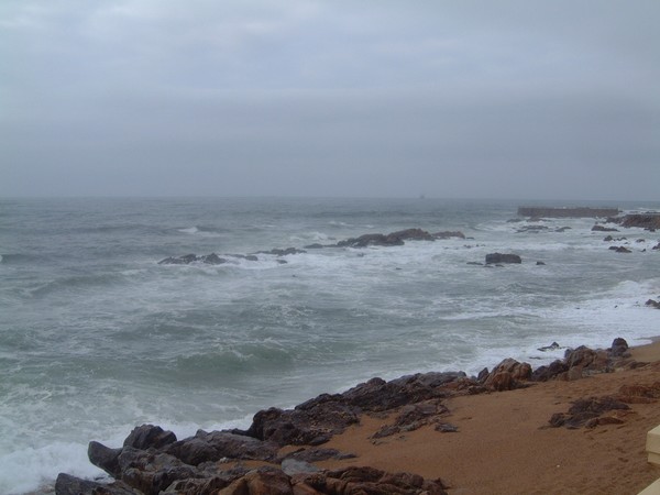 Wild sea