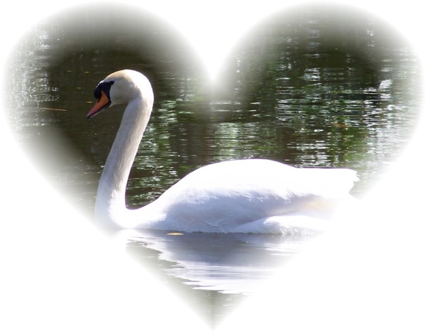 Season of Love