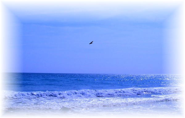 In Flight
