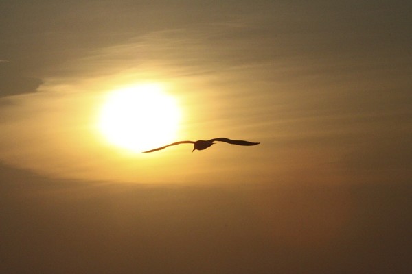 Sunset 0415