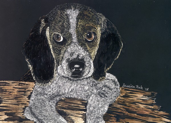 Beagle Pup