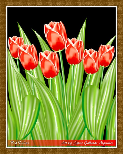 Red Tulips