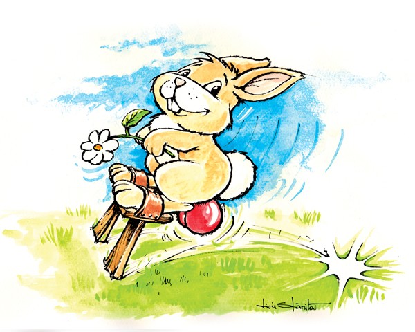 rabbit
