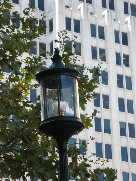 Streetlights of the world