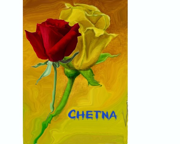 yellow and red rose