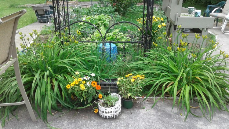 Summer plantings