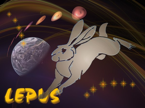 Lepus