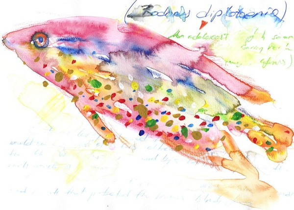 fish-WATERCOLORS,6