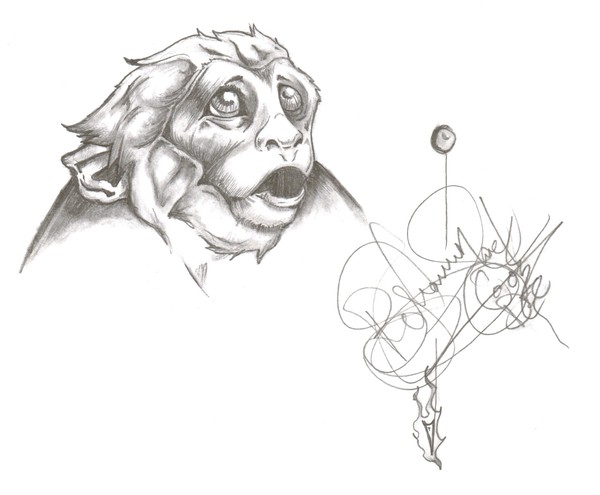 Monkey