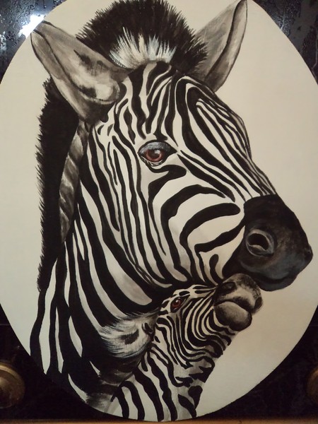 Mother and baby Zebra